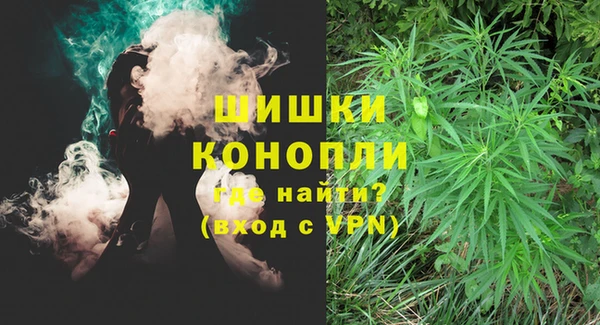 Альфа ПВП Ладушкин