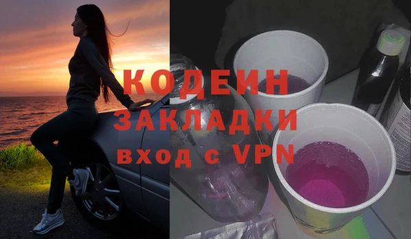 твердый Лагань
