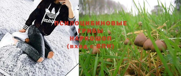 бутират Лабытнанги