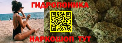 спайс Гагарин