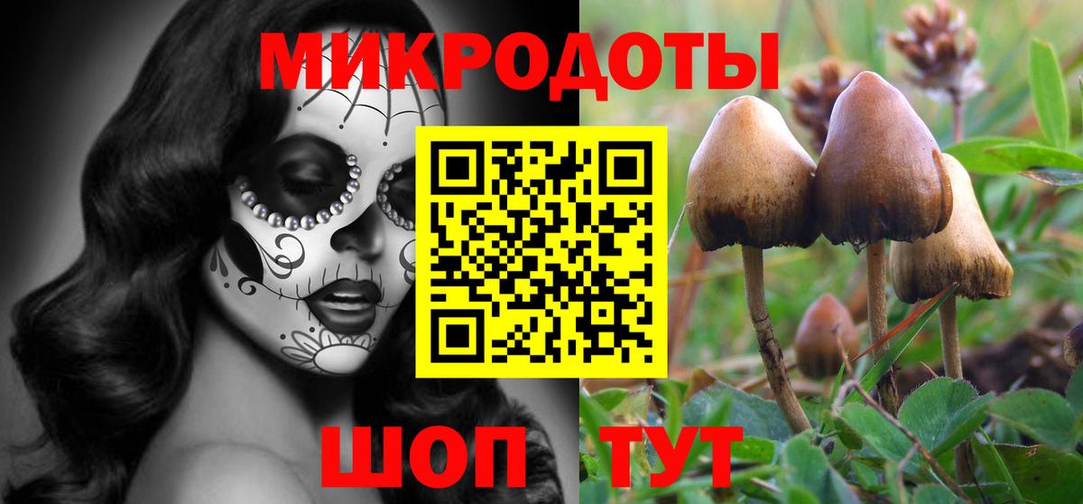 Псилоцибиновые грибы MAGIC MUSHROOMS  Псилоцибиновые грибы мухоморы  Вход с VPN  Ессентуки 