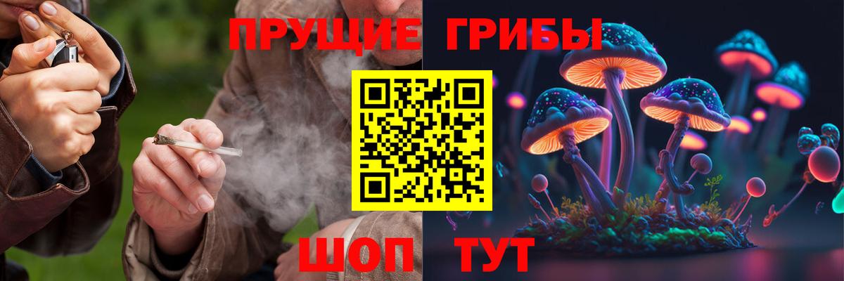 Псилоцибиновые грибы мицелий Ессентуки